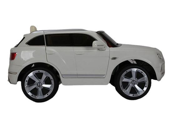 Plastico 6v o 12v Electric Ride On Car con telecomando da autorizzato