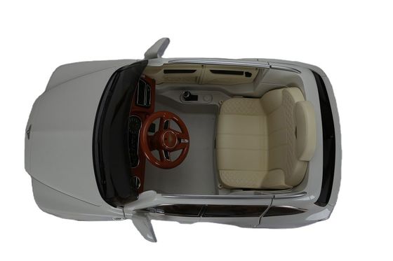 Plastico 6v o 12v Electric Ride On Car con telecomando da autorizzato
