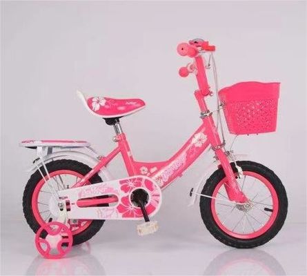 4-14 anni Età 2023 Bicicletta a due ruote a pedali da 16 pollici con due supporti per chiodi e un parafango in plastica