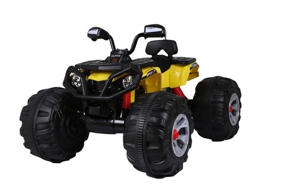 2022 più popolare 12V 24V batteria grande giro su bambini ATV elettrico auto con MP3